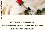 Friendship Cards