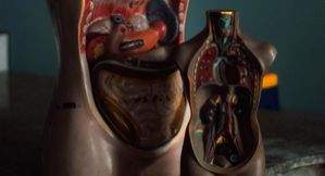 7 do’s for better digestion