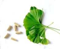 A scientific exploration of herbal supplements for well-being in India