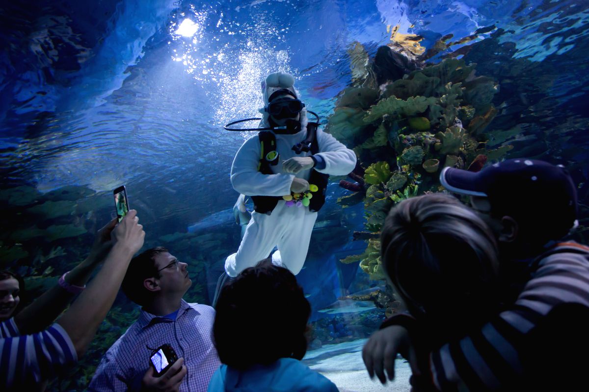 Scuba Fun Search is on!