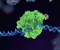 Can CRISPR-Cas gene editing tech fight antimicrobial resistance?