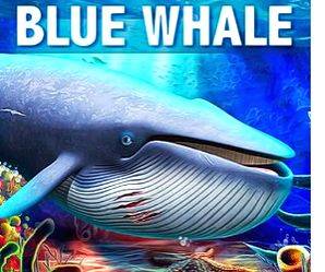 Indian student's death in US possibly linked to Blue Whale suicide game