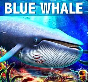 Indian student's death in US possibly linked to Blue Whale suicide game