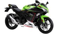 Kawasaki Ninja 300  [2021 - 2022] Photo