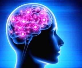 Why losing keys, everyday items may not always signal poor memory