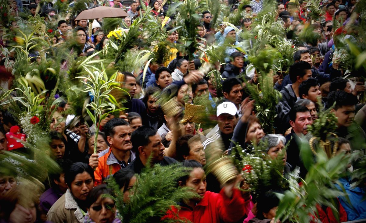 What do these Palm Leaves signify?