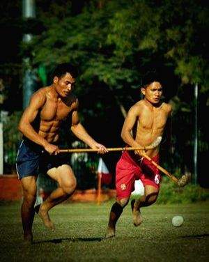 Row in Manipur as NCERT textbook associates its traditional sport with Mizoram