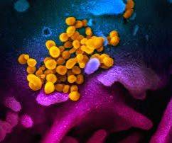 Undiagnosed immune deficiency rising among Indian children: Doctors