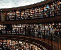 Summer reads for everyone